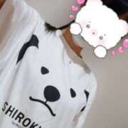 ヒメ日記 2025/10/08 07:00 投稿 しおん 所沢デリヘル桜