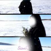 しおん 出勤しました🩷 所沢デリヘル桜