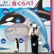 ヒメ日記 2025/12/13 09:00 投稿 しおん 所沢デリヘル桜