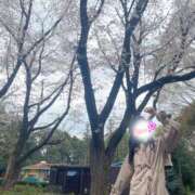 ヒメ日記 2026/04/03 15:00 投稿 しおん 所沢デリヘル桜