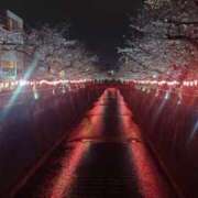 ヒメ日記 2026/05/21 19:00 投稿 しおん 所沢デリヘル桜