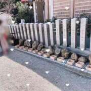 ヒメ日記 2025/03/24 15:24 投稿 えな ナイスレディ