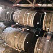 ヒメ日記 2025/12/08 08:19 投稿 えな ナイスレディ