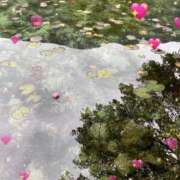 ヒメ日記 2026/03/04 10:37 投稿 えな ナイスレディ