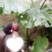 ヒメ日記 2024/12/18 13:57 投稿 りり 女の子がセルフで撮影する店！！成田デリヘル『生パネル』伝説