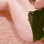 ヒメ日記 2025/04/18 13:02 投稿 ねねか【FG系列】 アロマdeフィーリングin横浜（FG系列）