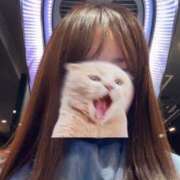 ヒメ日記 2025/05/09 22:16 投稿 ヒカリ マテリアル