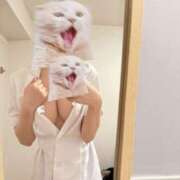 ヒメ日記 2025/05/24 22:46 投稿 ヒカリ マテリアル