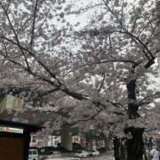 ヒメ日記 2025/04/09 10:29 投稿 いまり 熟女家 ミナミエリア店