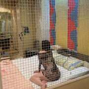 ヒメ日記 2025/10/28 10:25 投稿 いまり 熟女家 ミナミエリア店