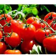 ヒメ日記 2025/11/15 09:04 投稿 宮園 りこ Men's relaxation VEGA