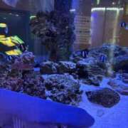 ヒメ日記 2025/09/01 21:04 投稿 三苫よつば 手コキ研修塾