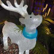 ヒメ日記 2025/12/06 10:04 投稿 三苫よつば 手コキ研修塾