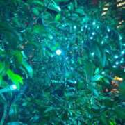 ヒメ日記 2026/01/06 12:04 投稿 三苫よつば 手コキ研修塾