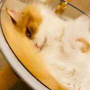 ヒメ日記 2025/07/07 15:48 投稿 佐伯ふうか 恋する妻たち