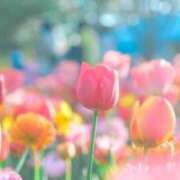 ヒメ日記 2026/03/06 10:08 投稿 佐伯ふうか 恋する妻たち