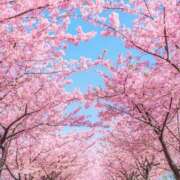 ヒメ日記 2026/03/08 23:48 投稿 佐伯ふうか 恋する妻たち