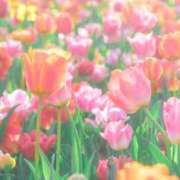 ヒメ日記 2026/03/30 10:28 投稿 佐伯ふうか 恋する妻たち