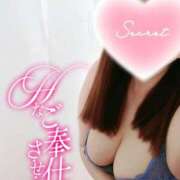 ヒメ日記 2025/02/20 11:05 投稿 じゅん 宮崎ちゃんこ都城店