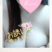 ヒメ日記 2025/02/21 11:05 投稿 じゅん 宮崎ちゃんこ都城店