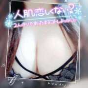 ヒメ日記 2025/03/30 10:05 投稿 じゅん 宮崎ちゃんこ都城店