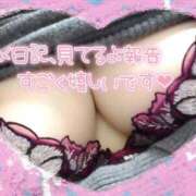 ヒメ日記 2025/04/02 09:05 投稿 じゅん 宮崎ちゃんこ都城店