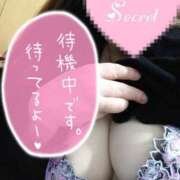 ヒメ日記 2025/04/03 14:05 投稿 じゅん 宮崎ちゃんこ都城店