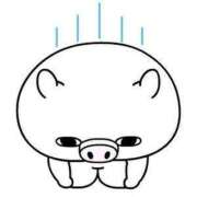 ヒメ日記 2025/04/12 07:55 投稿 じゅん 宮崎ちゃんこ都城店