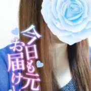 ヒメ日記 2025/05/07 11:27 投稿 じゅん 宮崎ちゃんこ都城店