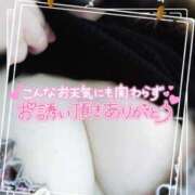 ヒメ日記 2025/05/24 15:05 投稿 じゅん 宮崎ちゃんこ都城店