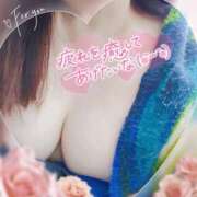 ヒメ日記 2025/05/29 17:06 投稿 じゅん 宮崎ちゃんこ都城店