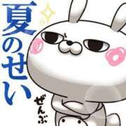 ヒメ日記 2025/07/30 09:15 投稿 じゅん 宮崎ちゃんこ都城店