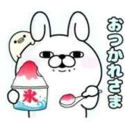 ヒメ日記 2025/08/27 15:48 投稿 じゅん 宮崎ちゃんこ都城店