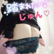 ヒメ日記 2025/09/17 10:25 投稿 じゅん 宮崎ちゃんこ都城店