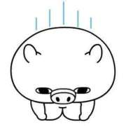 ヒメ日記 2026/03/28 08:15 投稿 じゅん 宮崎ちゃんこ都城店