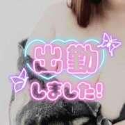 ヒメ日記 2026/04/13 11:15 投稿 じゅん 宮崎ちゃんこ都城店