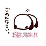 ヒメ日記 2026/08/02 09:16 投稿 じゅん 宮崎ちゃんこ都城店