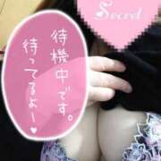 ヒメ日記 2026/10/05 17:05 投稿 じゅん 宮崎ちゃんこ都城店