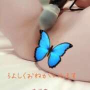 ヒメ日記 2024/12/14 06:10 投稿 あやの（完全予約制）ド変態妻 ～魅惑～美女妻クラブ