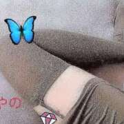 ヒメ日記 2025/01/03 23:00 投稿 あやの（完全予約制）ド変態妻 ～魅惑～美女妻クラブ