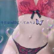 ヒメ日記 2026/03/13 00:10 投稿 あやの（完全予約制）ド変態妻 ～魅惑～美女妻クラブ