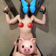 ヒメ日記 2026/03/23 16:10 投稿 あやの（完全予約制）ド変態妻 ～魅惑～美女妻クラブ