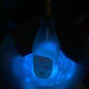 ヒメ日記 2025/06/15 19:31 投稿 るい チェリーデイズ