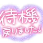 ヒメ日記 2024/04/07 12:12 投稿 ゆい 愛知弥富ちゃんこ