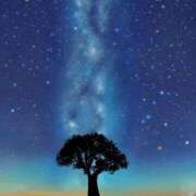 ヒメ日記 2024/12/10 07:21 投稿 ゆい 愛知弥富ちゃんこ