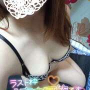 ヒメ日記 2025/02/21 12:31 投稿 ゆい 愛知弥富ちゃんこ
