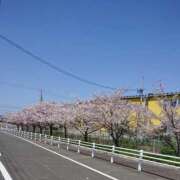 ヒメ日記 2025/04/09 11:51 投稿 ゆい 愛知弥富ちゃんこ