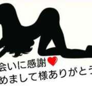 ヒメ日記 2025/11/19 11:05 投稿 ゆい 愛知弥富ちゃんこ