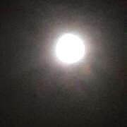 ゆい 受付終了🙂‍↕️ 愛知弥富ちゃんこ