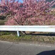 ヒメ日記 2026/03/28 09:26 投稿 ゆい 愛知弥富ちゃんこ